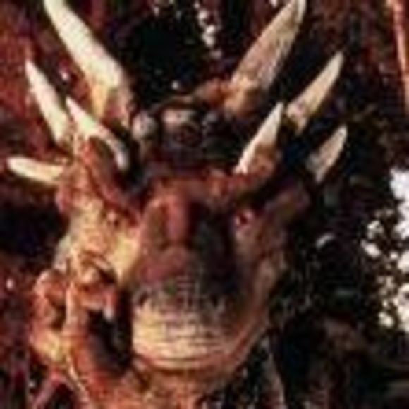 Meet your Posher, Paula - Picture 1 of 1